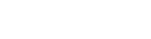 Insight Risk